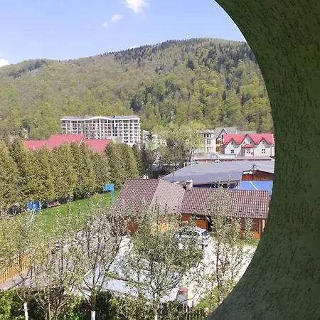 Кипарис Yaremche