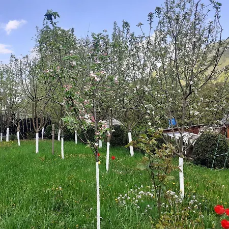 Кипарис Pensionat Jaremtje